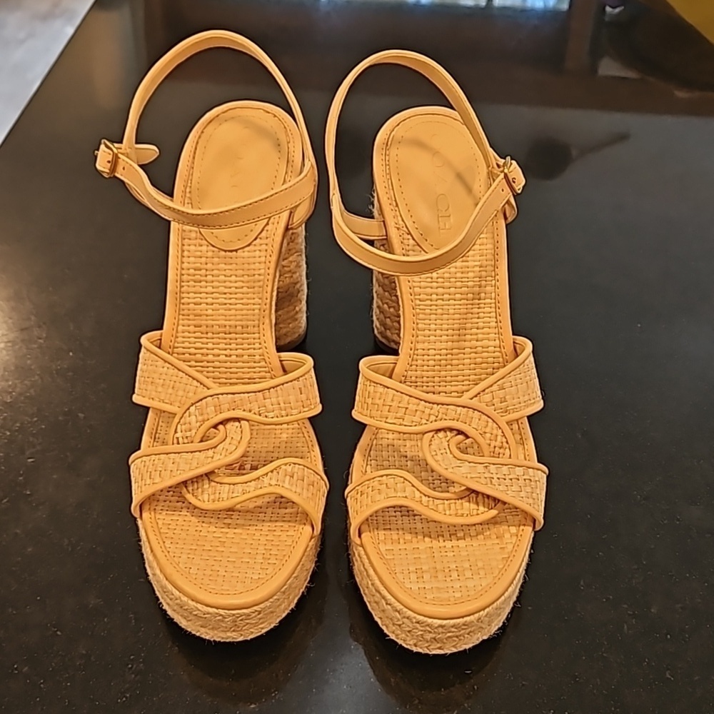 πCOACHπ Talina Platform Raffia Espadrille Sandal ~ Neutral 10 New without Box - Picture 11 of 16